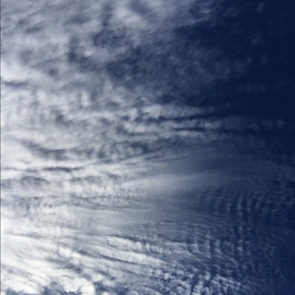 Meet your Posher, Allison - Picture 1 of 1